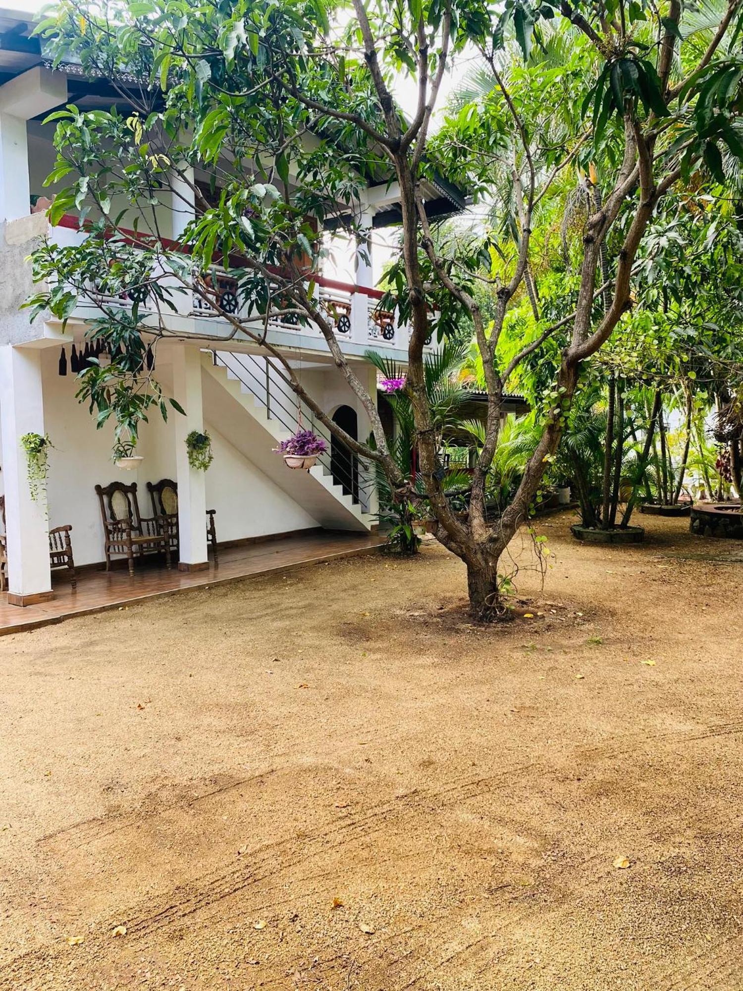 The Green Garden دامبولا المظهر الخارجي الصورة
