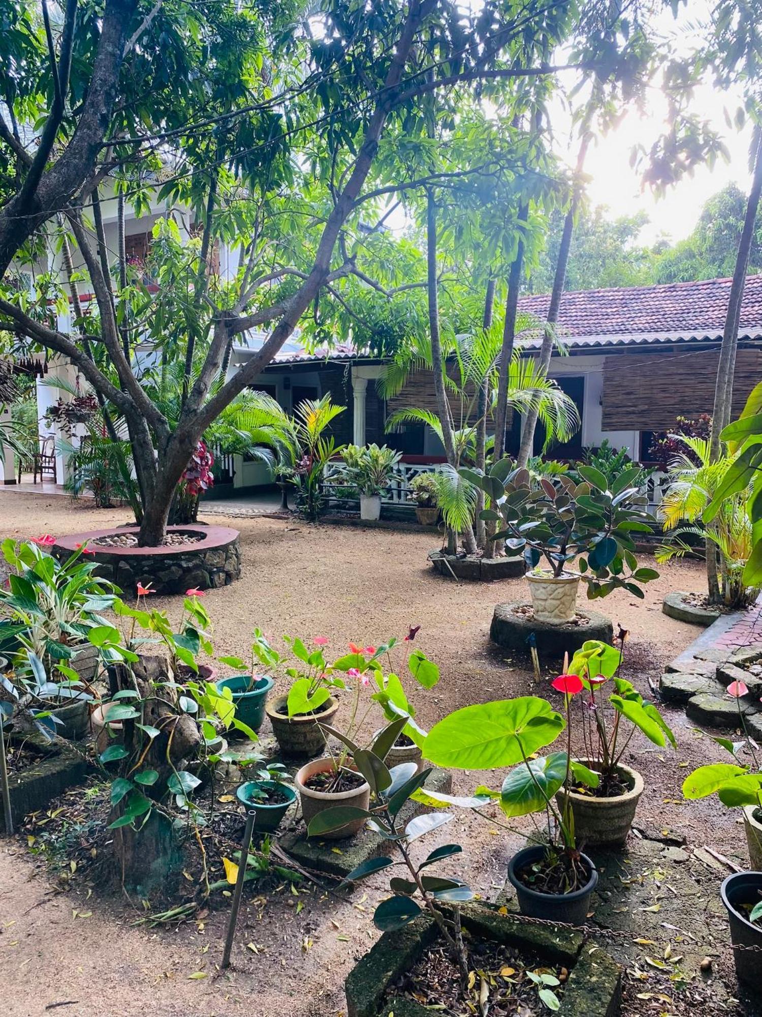 The Green Garden دامبولا المظهر الخارجي الصورة