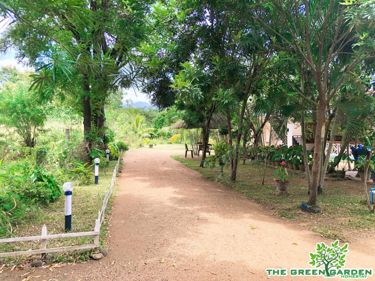 The Green Garden دامبولا المظهر الخارجي الصورة